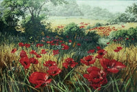 Poppy Field