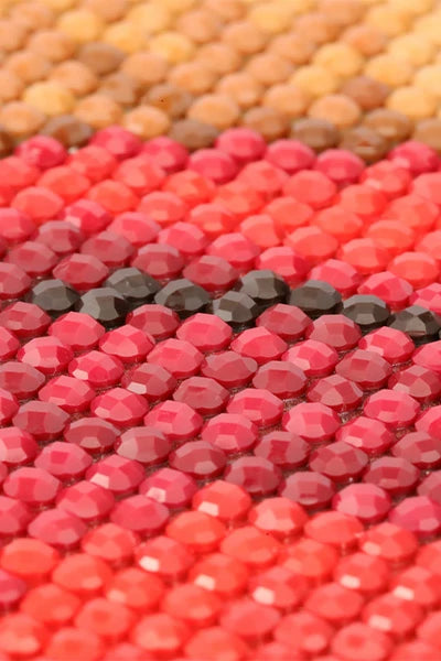 Close-up of a finished FEELOOK Art diamond painting with tightly arranged drills and rich, colorful patterns
