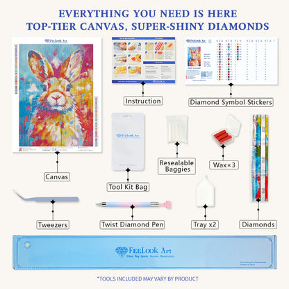 DIY diamond painting kit for Colorful Rabbit including canvas, pen, tray, wax, and drills. - FEELOOK Art