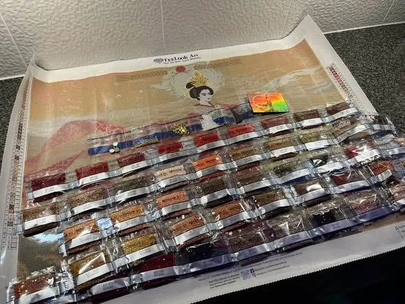 Diamond painting canvas displayed with organized drill bags ready for crafting - FEELOOK Art