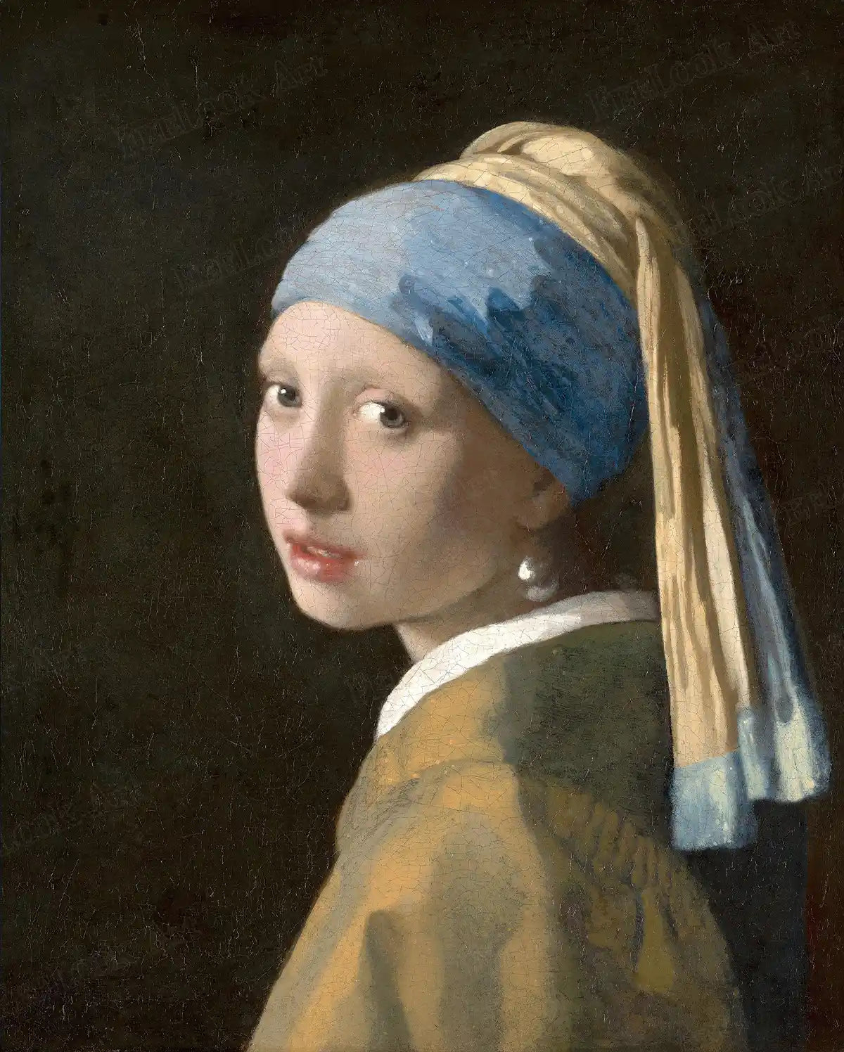 Girl with a Pearl Earring 5D diamond painting with luminous pearl detail and rich painterly textures for elegant wall décor - FEELOOK Art