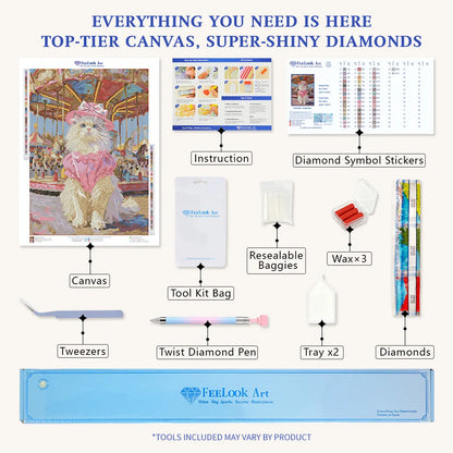Professional diamond painting accessories including canvas, drills, pens, and wax - FEELOOK Art