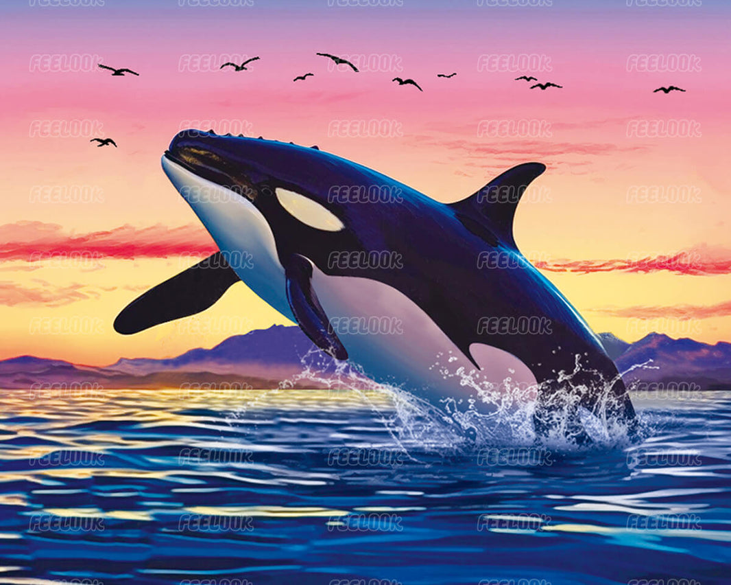 Whale sunset diamond painting kit, featuring a majestic whale under a vibrant sunset sky, perfect for nature lovers and diamond art kits.